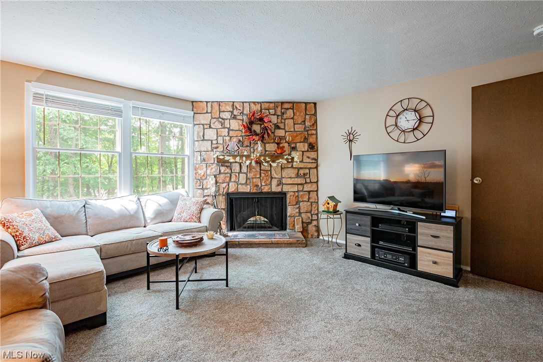 3819 Lake Run Boulevard