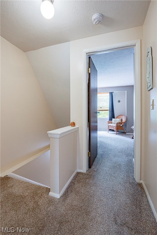 3819 Lake Run Boulevard