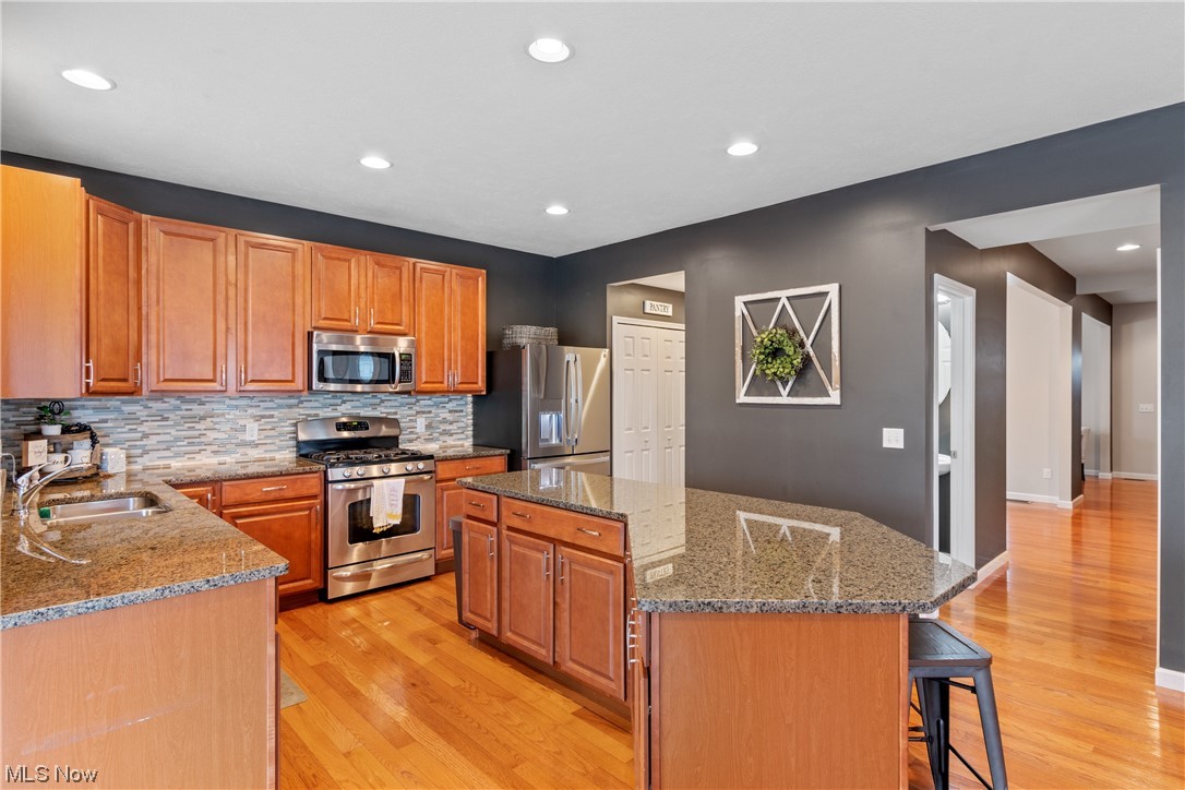 1437 Stoney Pointe Drive