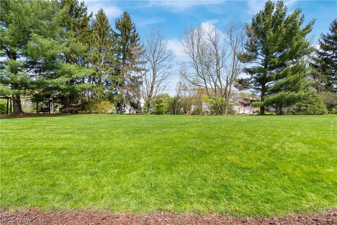 6669 Arlington Drive