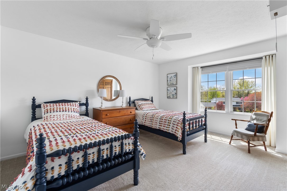 6669 Arlington Drive