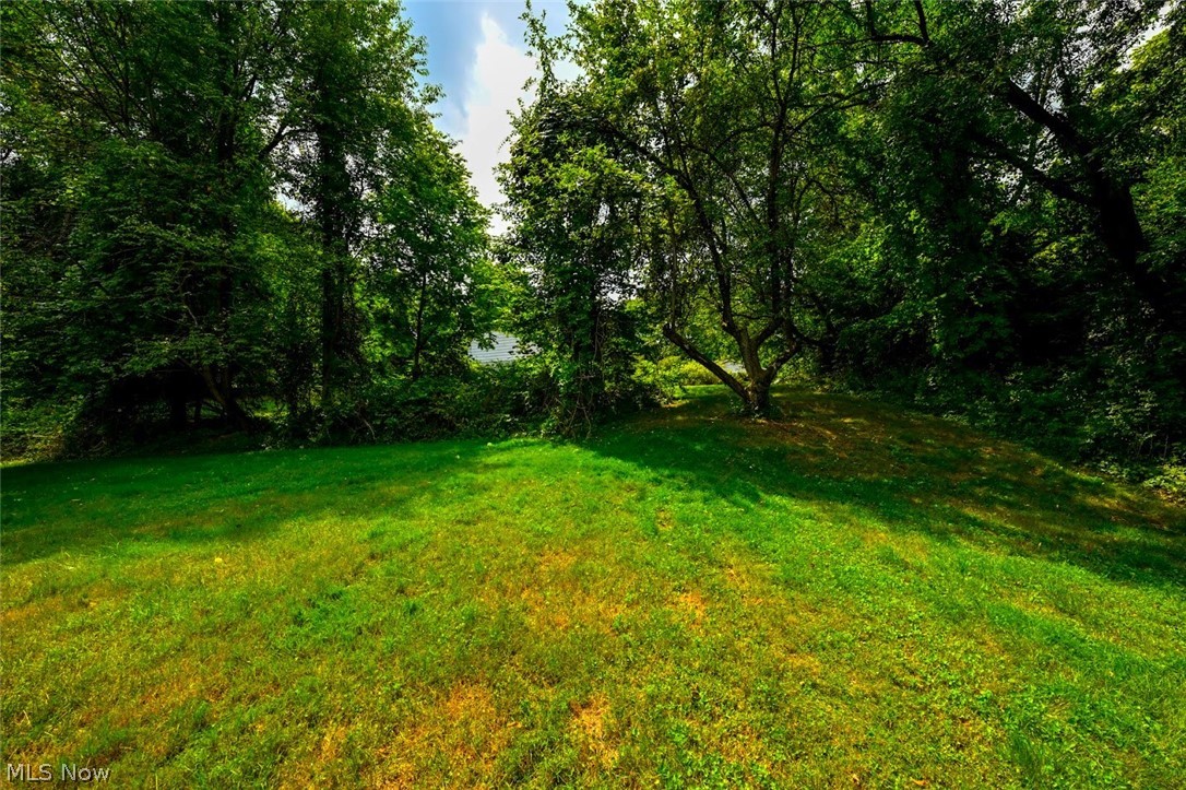 1157 E Turkeyfoot Lake Road