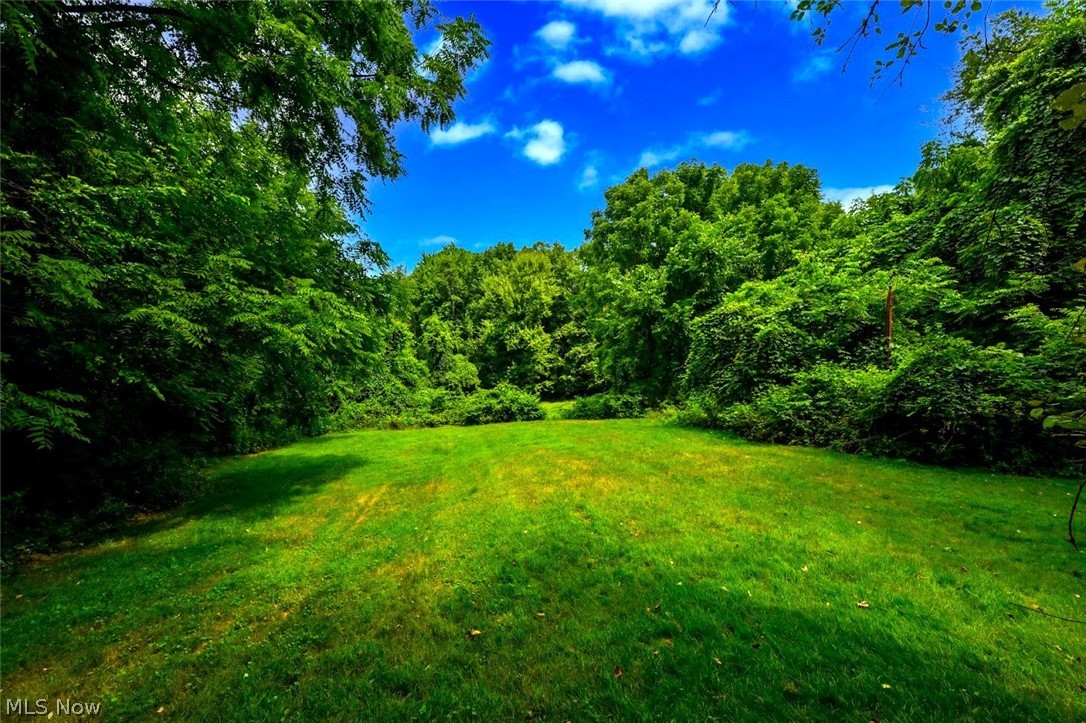 1157 E Turkeyfoot Lake Road