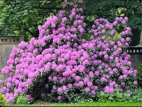 1166 Sunset View Drive