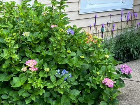 1166 Sunset View Drive