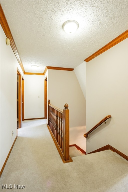 6743 Cedar Ridge Trail