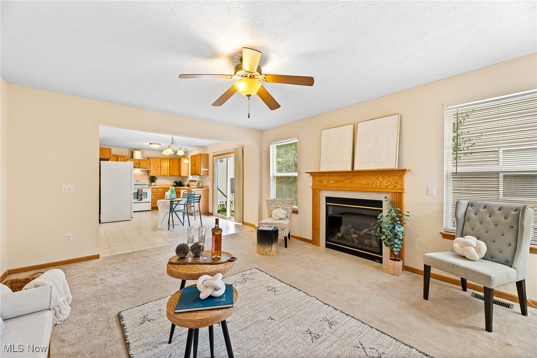 3134 Shelton Court