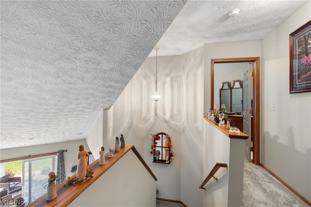 2419 Meadow Spring Circle