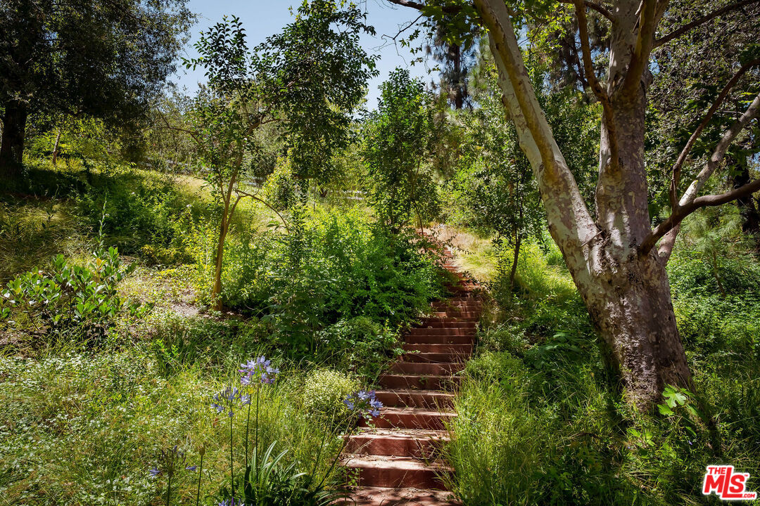 25149 Eldorado Meadow Rd