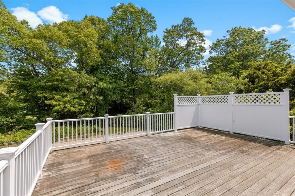 440 Thicket St.