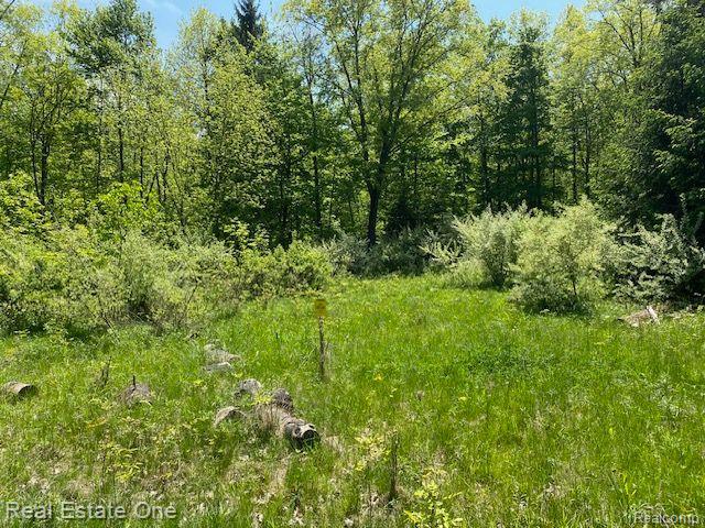 000 Secluded Pines Drive