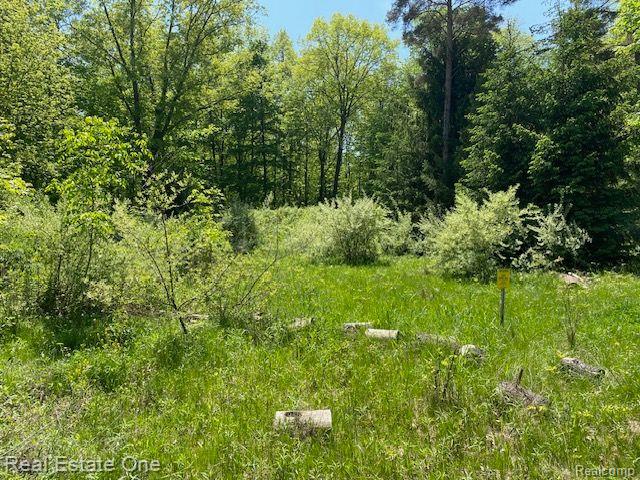 000 Secluded Pines Drive