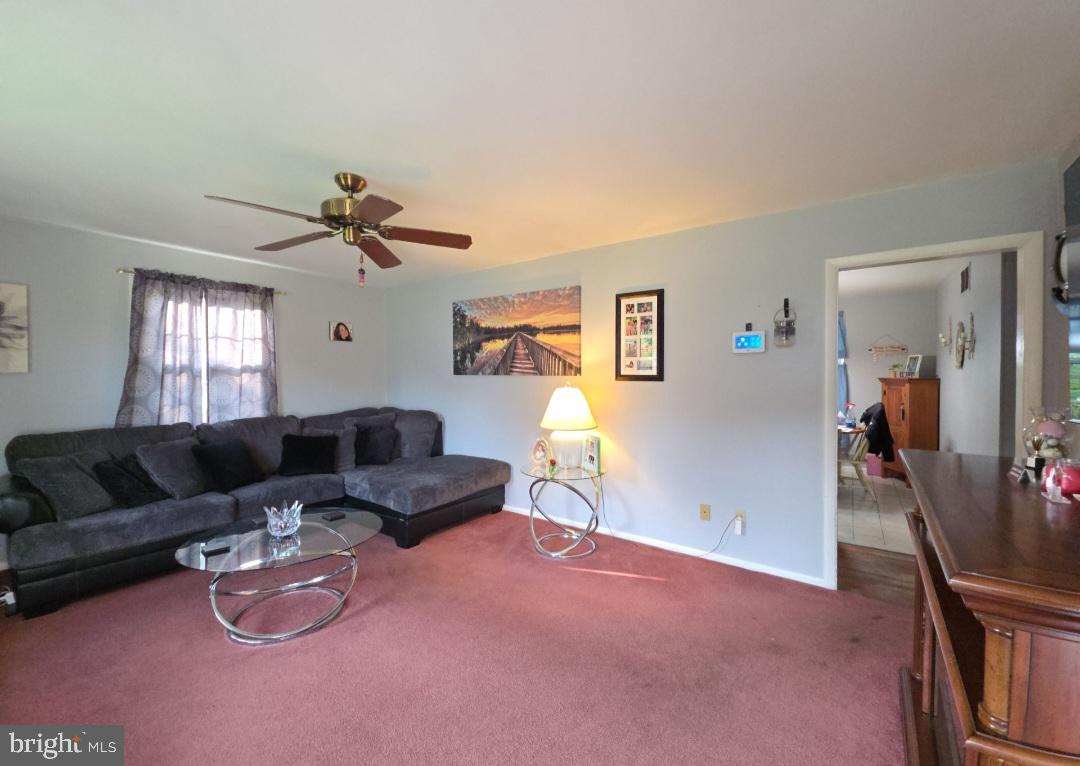 14 Wildwood Ave