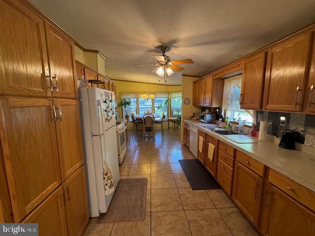 181 Palomino Pl