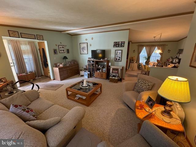 181 Palomino Pl