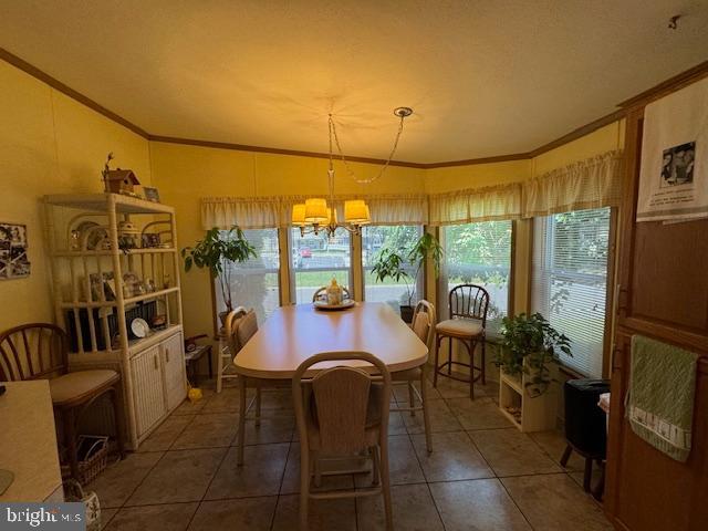 181 Palomino Pl