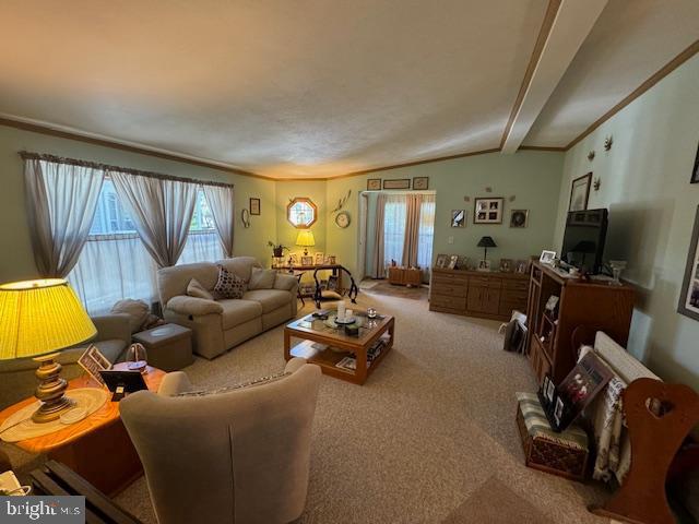 181 Palomino Pl