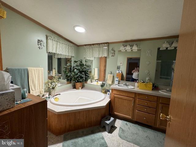 181 Palomino Pl