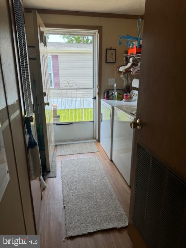 181 Palomino Pl