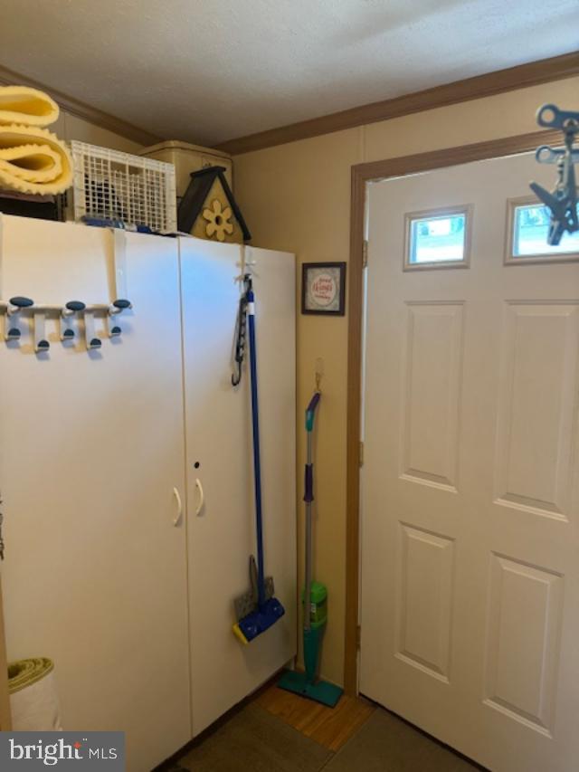 181 Palomino Pl