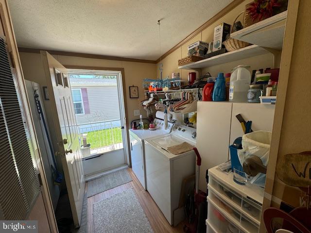 181 Palomino Pl
