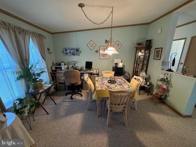 181 Palomino Pl
