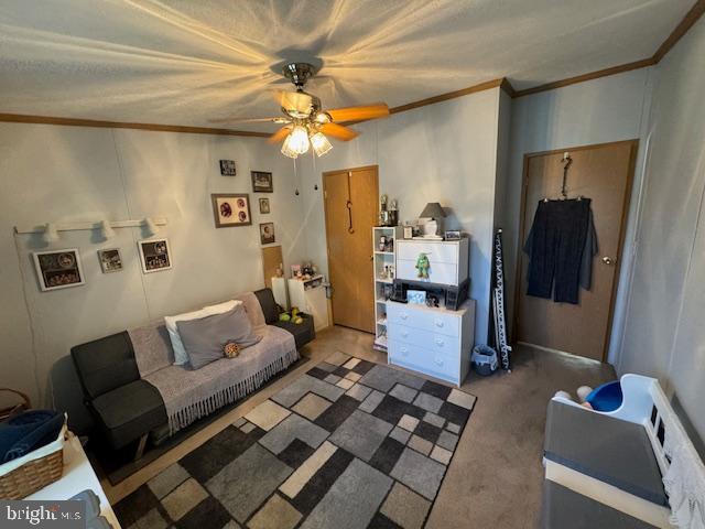 181 Palomino Pl