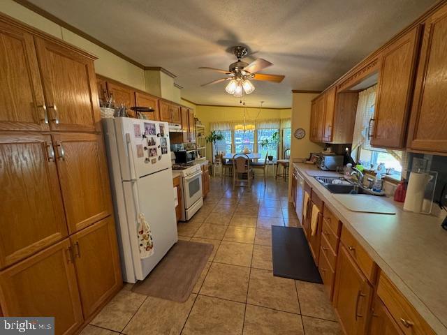 181 Palomino Pl