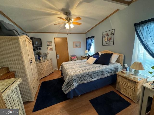 181 Palomino Pl
