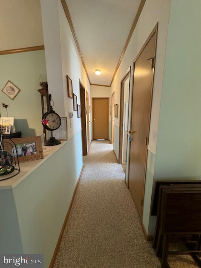 181 Palomino Pl
