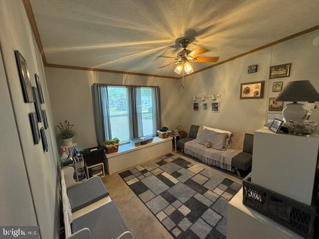 181 Palomino Pl