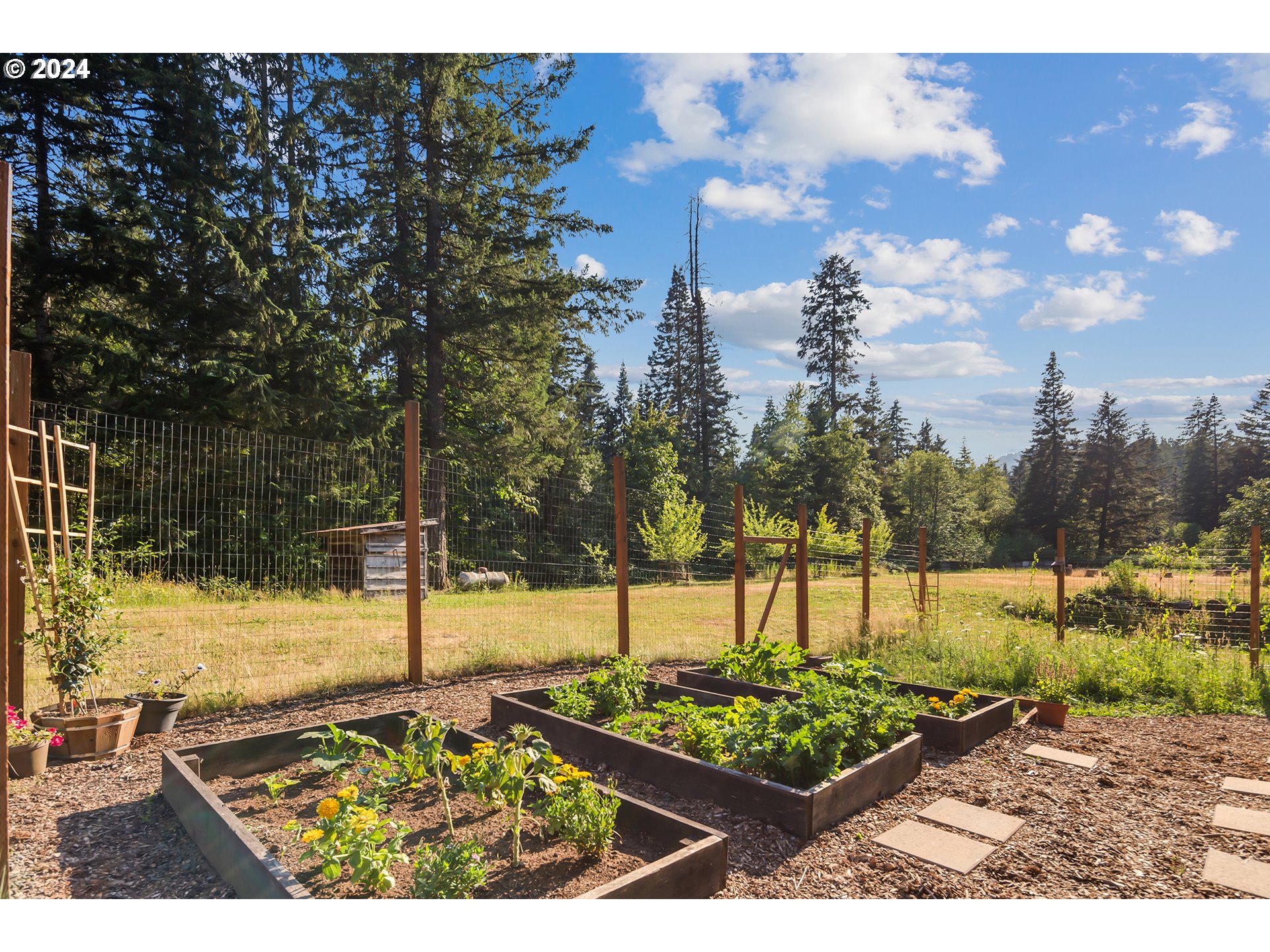 621 WOODARD CREEK RD