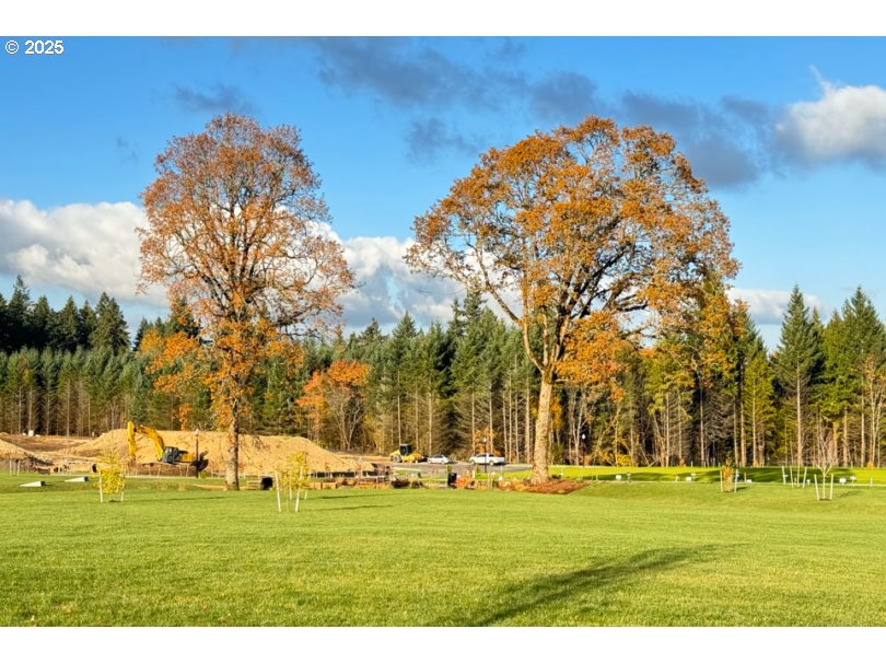 4224 NE 186TH ST LOT 251