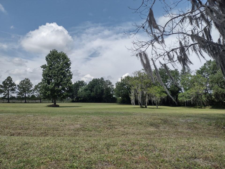 31007 TYNDALL RD