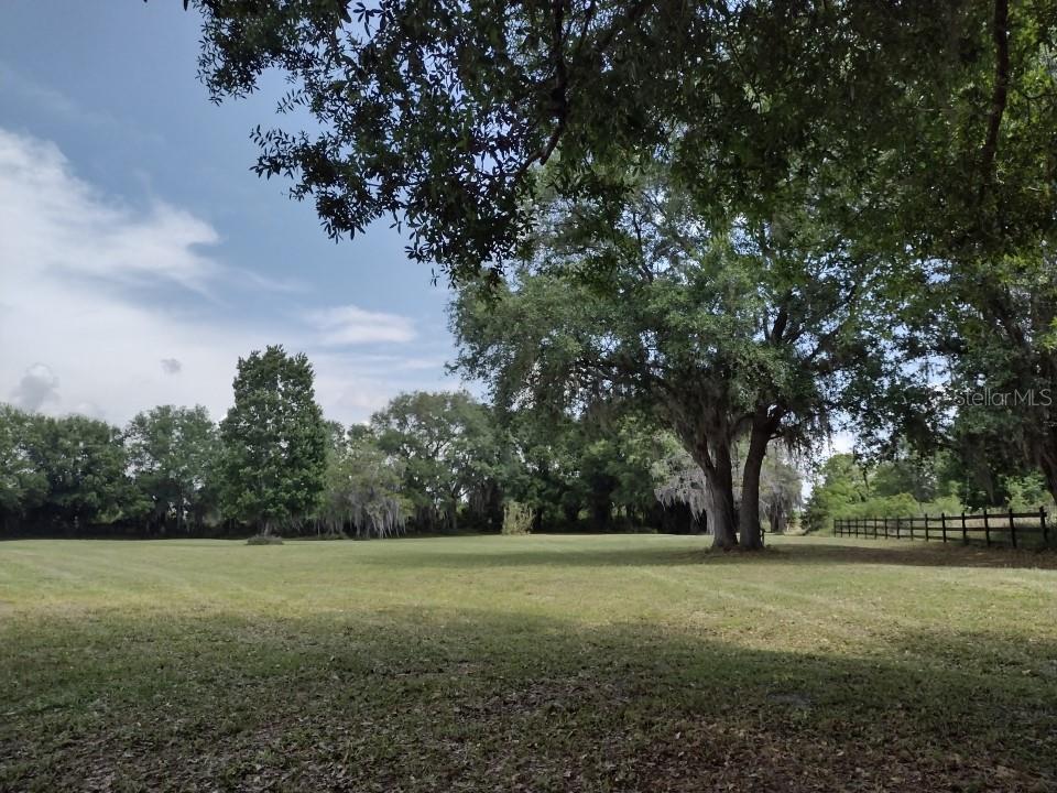31007 TYNDALL RD