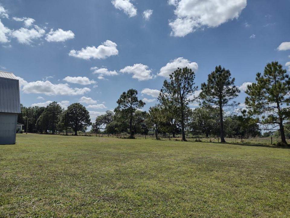 31007 TYNDALL RD