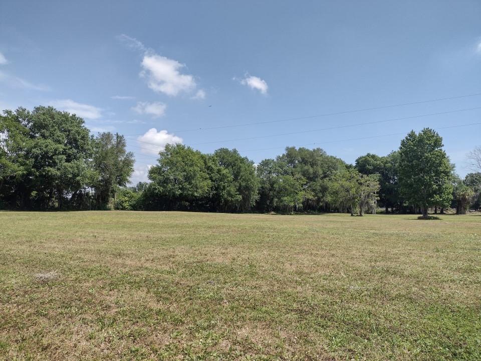 31007 TYNDALL RD