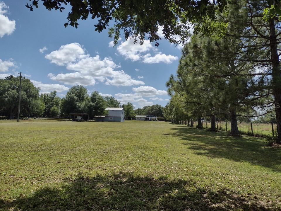 31007 TYNDALL RD