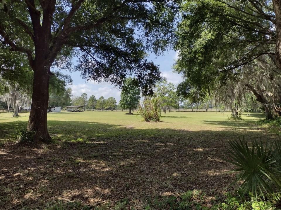 31007 TYNDALL RD