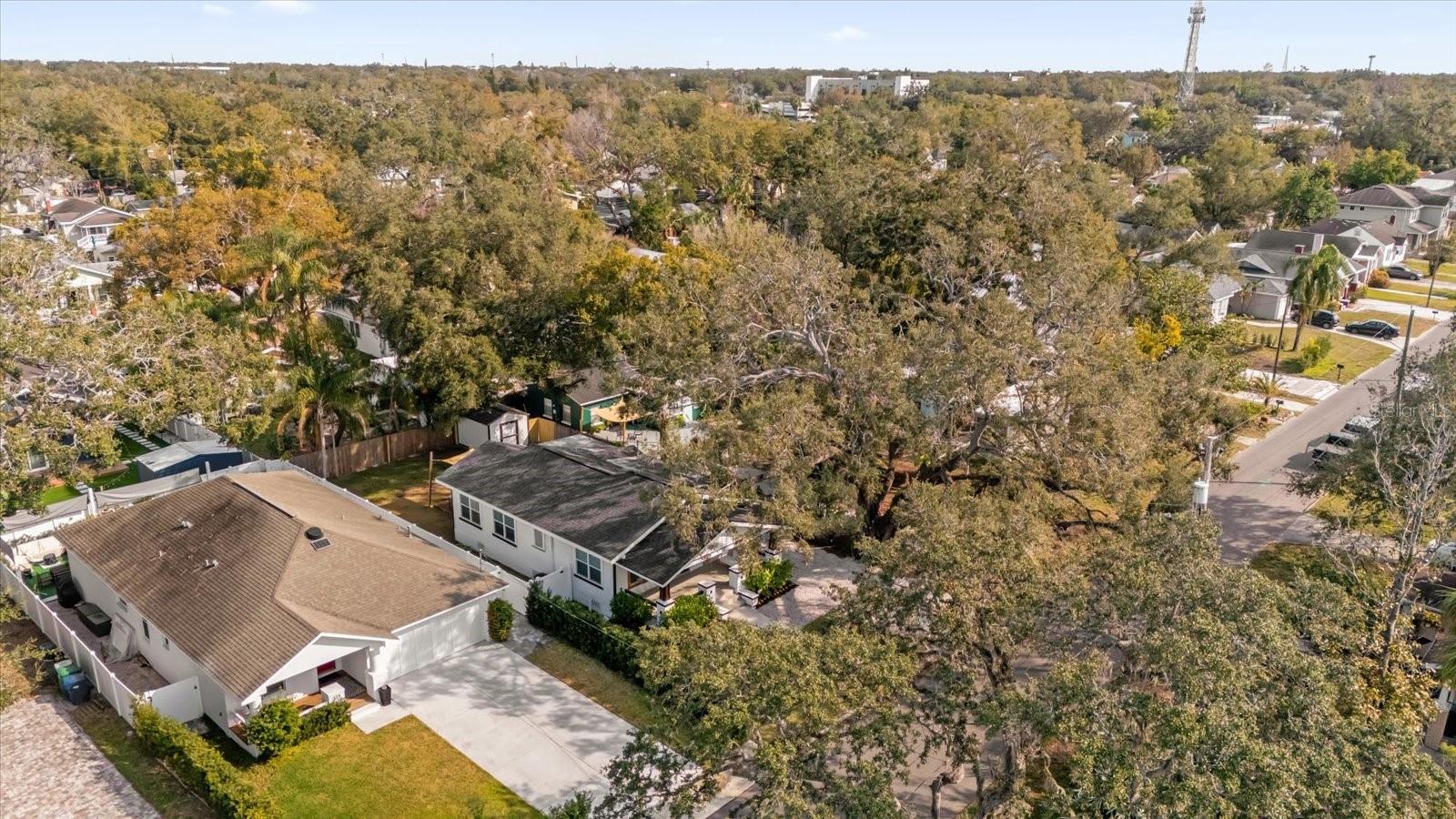 321 W WILDER AVE