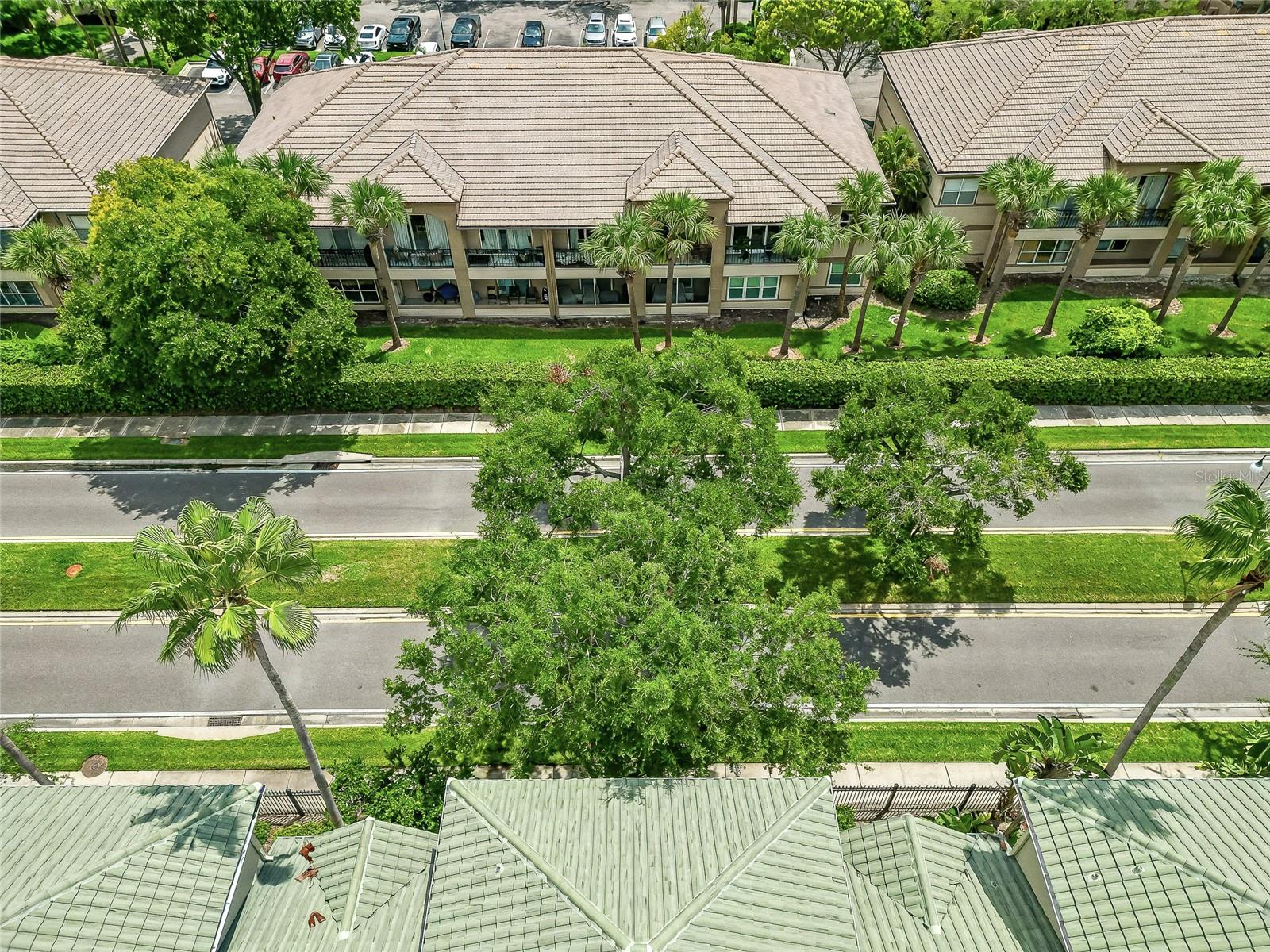 501 KNIGHTS RUN AVE #5102