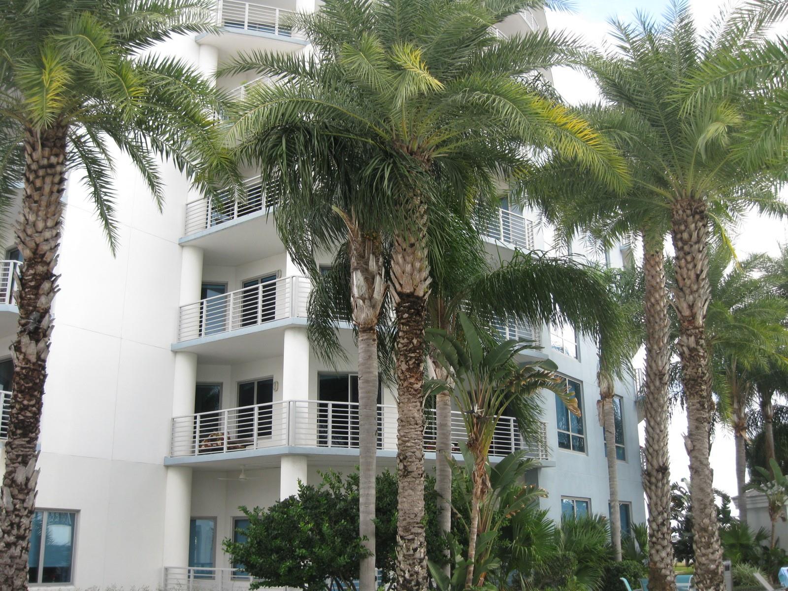 1209 E CUMBERLAND AVE #707