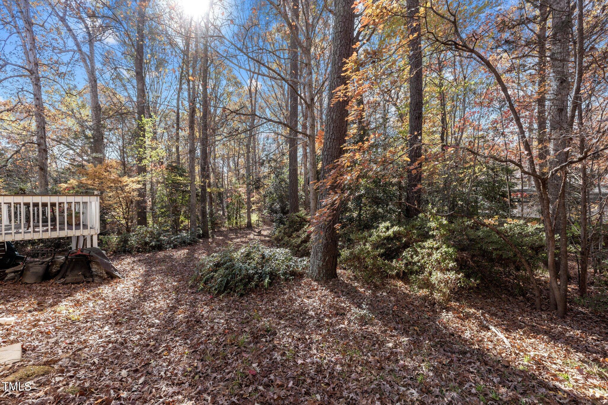 345 Thornwood Lane