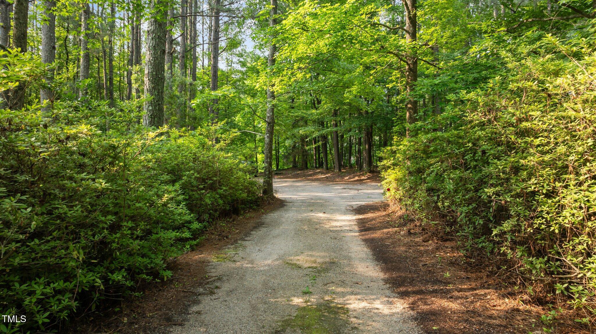 5344 Mill Dam Road