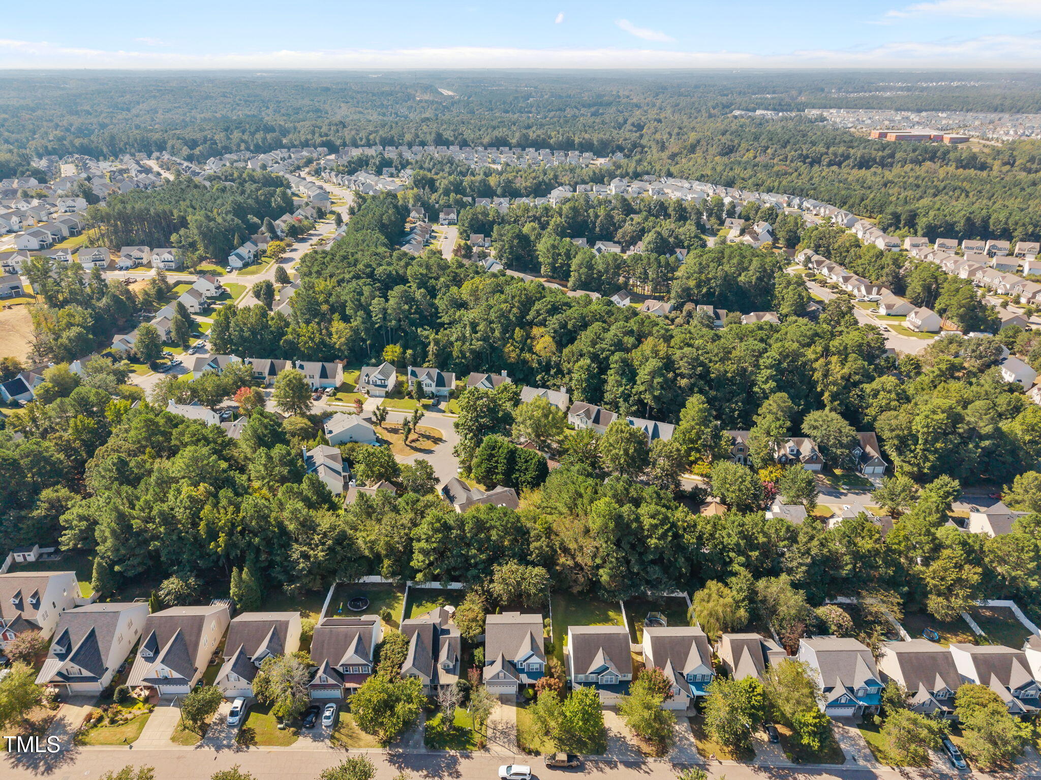 3242 Landing Falls Lane