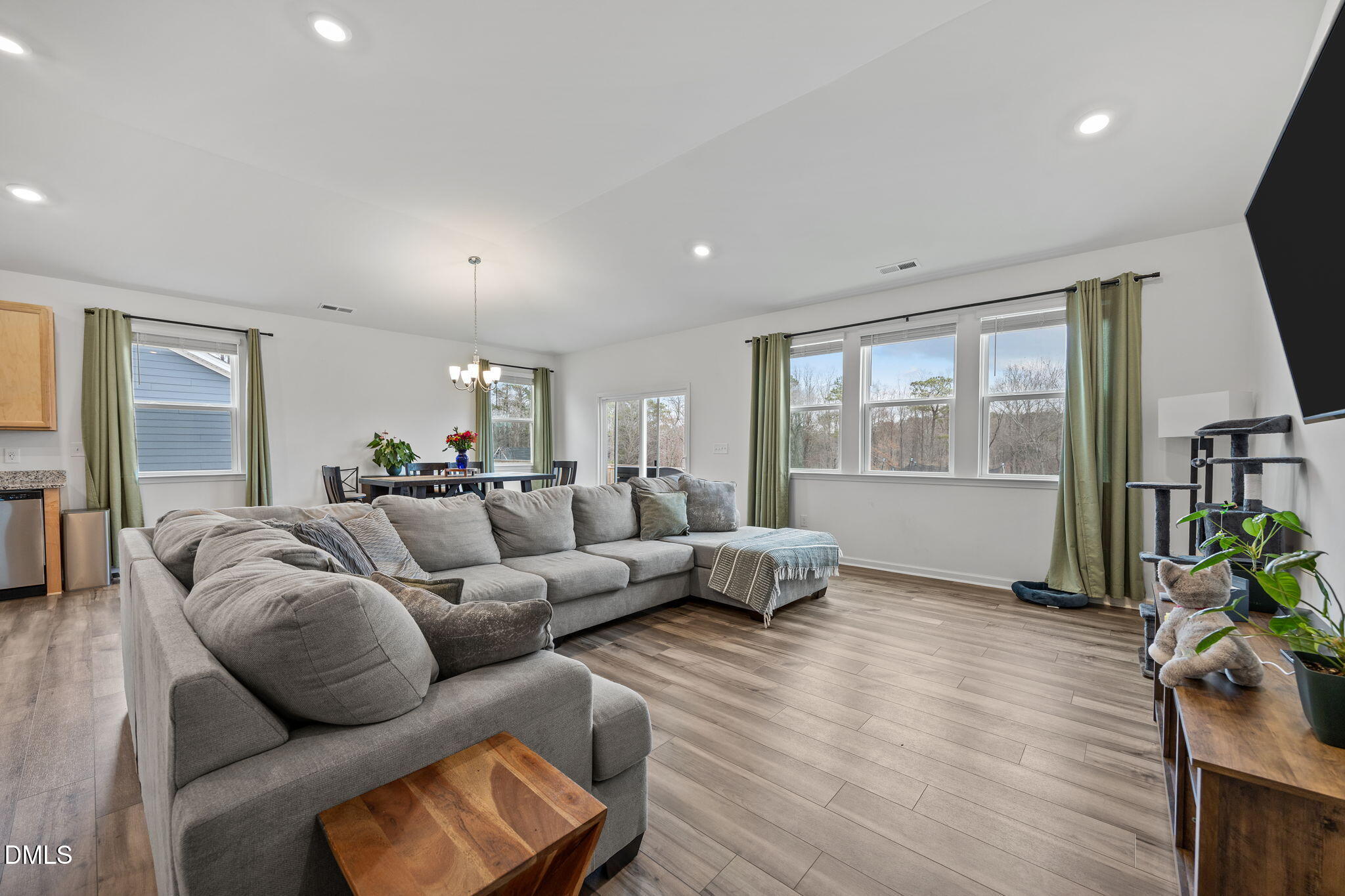 489 Thorny Branch Drive