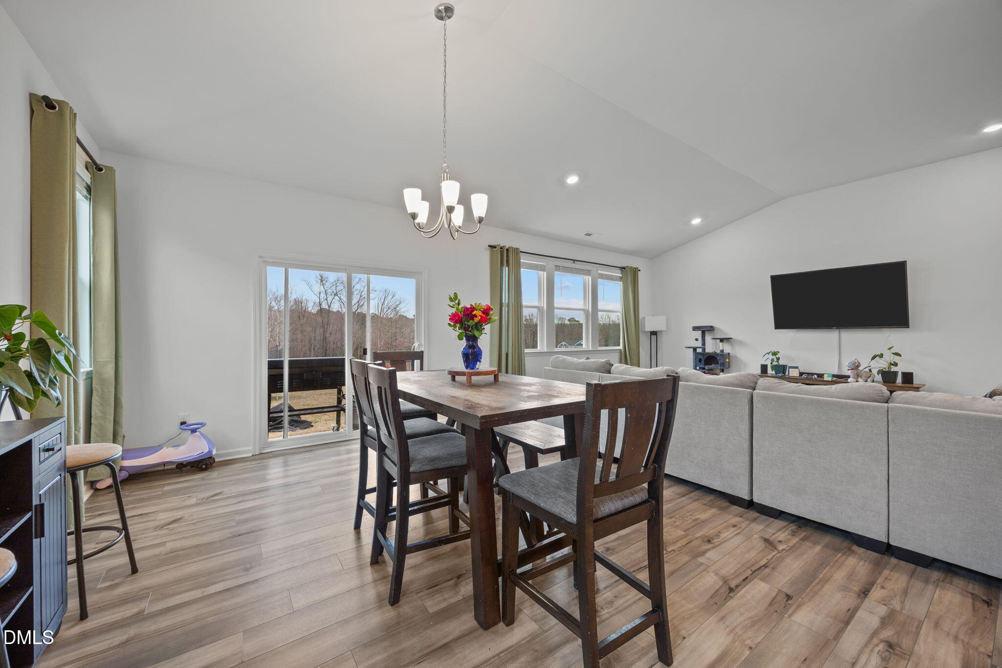 489 Thorny Branch Drive