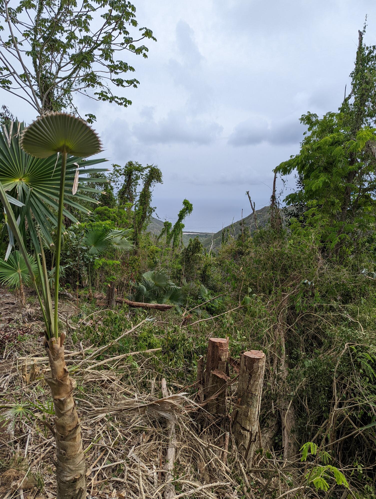 20-2 REM Carolina, St John