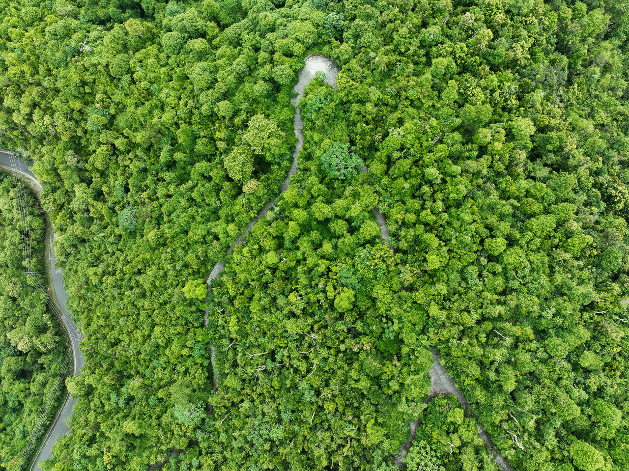 20-2 REM Carolina, St John