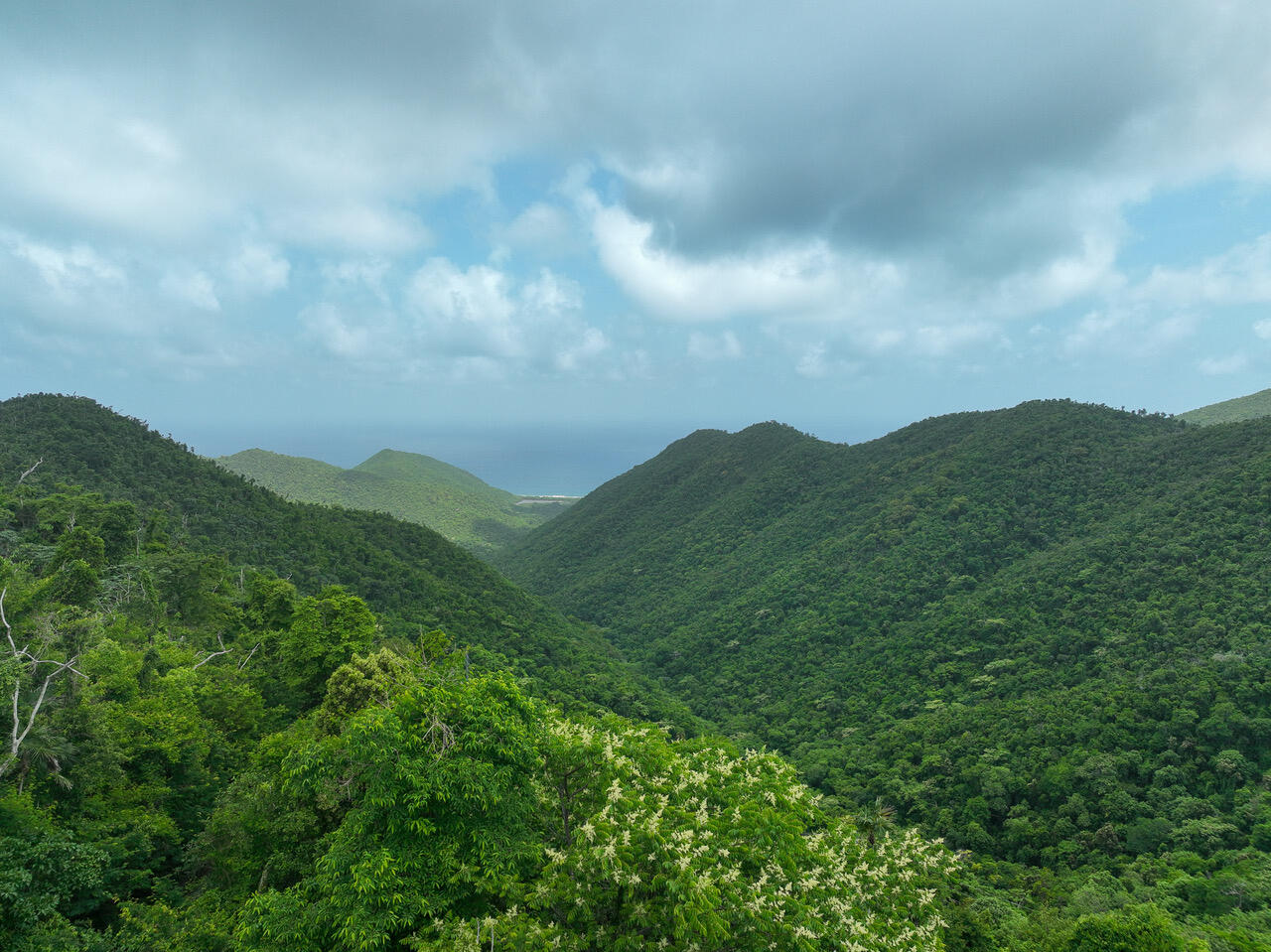 20-2 REM Carolina, St John